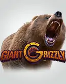 RTP Slot Situs Slot Arena333