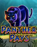 RTP Slot Situs Slot Arena333