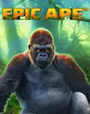 RTP Slot Situs Slot Arena333